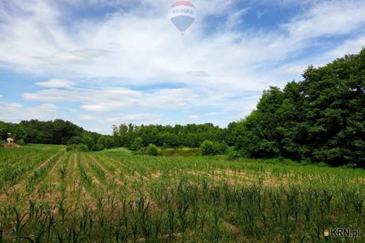 RE/MAX Polska, Działki  na sprzedaż, Buszewo, ul. 