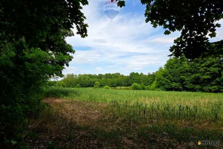 Działki  na sprzedaż, Buszewo, ul. , 