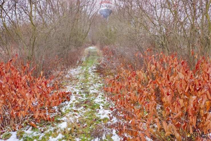 Działki  na sprzedaż, Pieńki Zarębskie, ul. , 