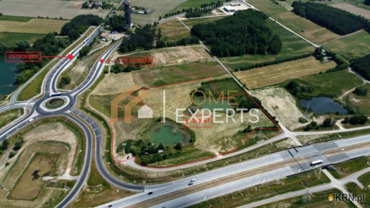 , Działki  na sprzedaż, Trzcianka-Kolonia, ul. 