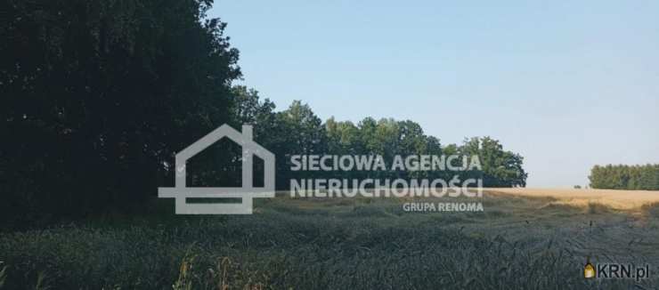 Wilkowo Nowowiejskie, ul. , Działki  na sprzedaż, 