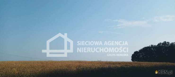 Wilkowo Nowowiejskie, ul. , , Działki  na sprzedaż