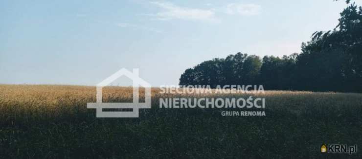 , Działki  na sprzedaż, Wilkowo Nowowiejskie, ul. 