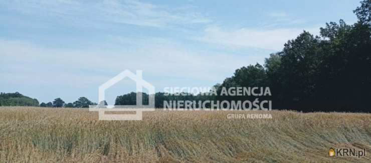 Działki  na sprzedaż, Wilkowo Nowowiejskie, ul. , 