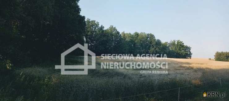 Działki  na sprzedaż, , Wilkowo Nowowiejskie, ul. 