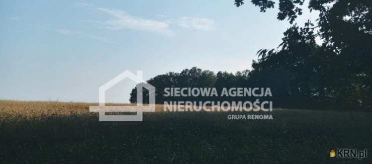 Wilkowo Nowowiejskie, ul. , , Działki  na sprzedaż