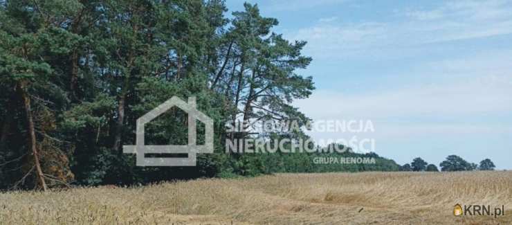 Działki  na sprzedaż, , Wilkowo Nowowiejskie, ul. 