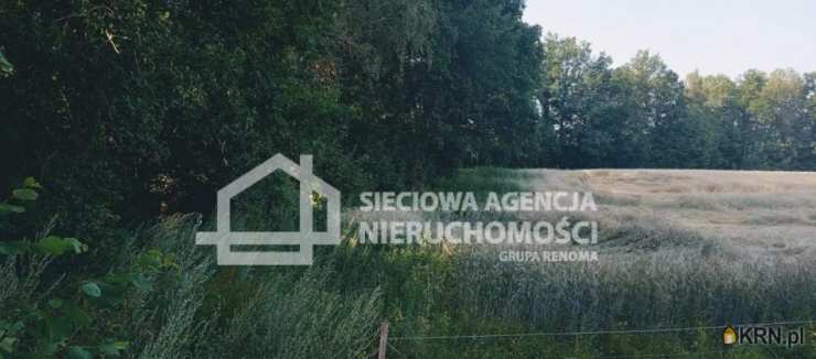 , Wilkowo Nowowiejskie, ul. , Działki  na sprzedaż