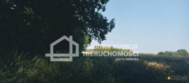 , Działki  na sprzedaż, Wilkowo Nowowiejskie, ul. 