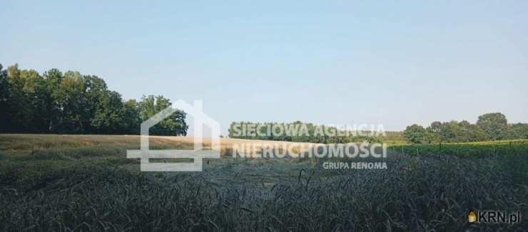 Sieciowa Agencja Nieruchomości Grupa Renoma, Działki  na sprzedaż, Wilkowo Nowowiejskie, ul. 