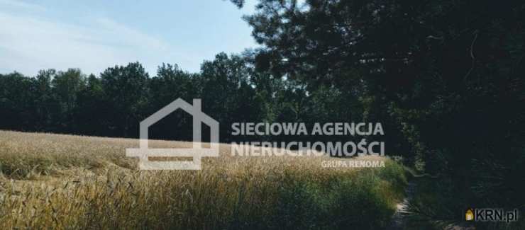 Działki  na sprzedaż, Wilkowo Nowowiejskie, ul. , 