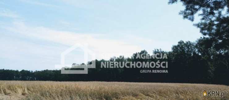 Wilkowo Nowowiejskie, ul. , Działki  na sprzedaż, 