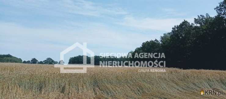 Działki  na sprzedaż, Wilkowo Nowowiejskie, ul. , 