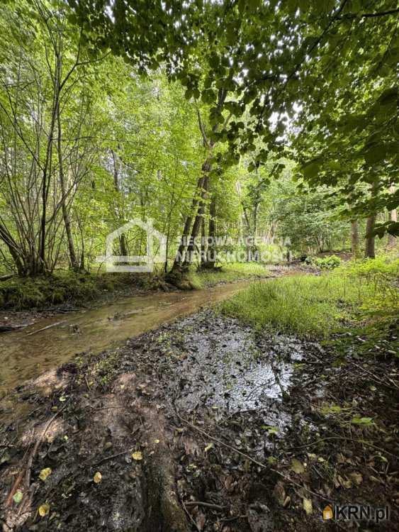 Sieciowa Agencja Nieruchomości Grupa Renoma, Działki  na sprzedaż, Łapino, ul. 