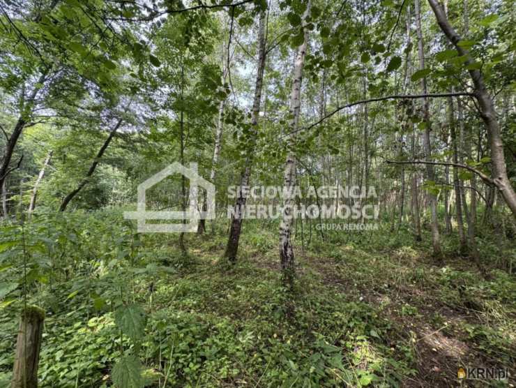 Działki  na sprzedaż, , Łapino, ul. 