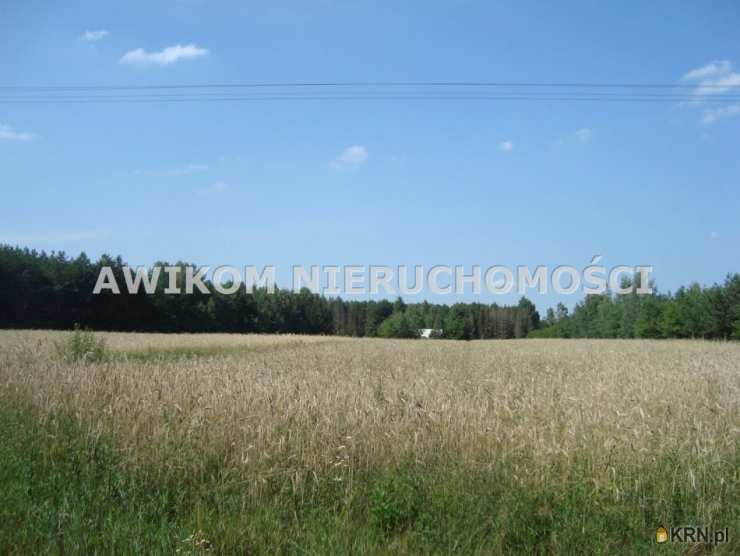 Działki  na sprzedaż, Borowiec, ul. , 