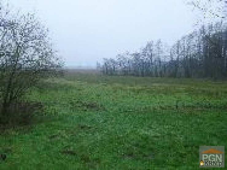 Chrząszczewo, ul. , Działki  na sprzedaż, 