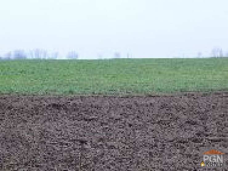 Chrząszczewo, ul. , , Działki  na sprzedaż