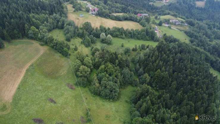 Działki  na sprzedaż, Szczawa, ul. , 