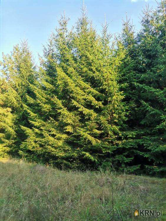 Działki  na sprzedaż, Pieńczykowo, ul. , 