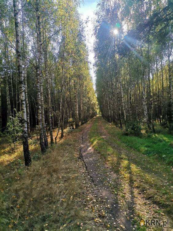 , Pieńczykowo, ul. , Działki  na sprzedaż