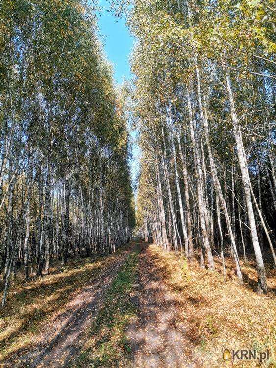 , Działki  na sprzedaż, Pieńczykowo, ul. 