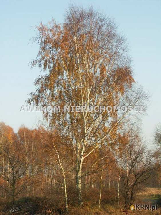 Działki  na sprzedaż, , Borowiny, ul. 