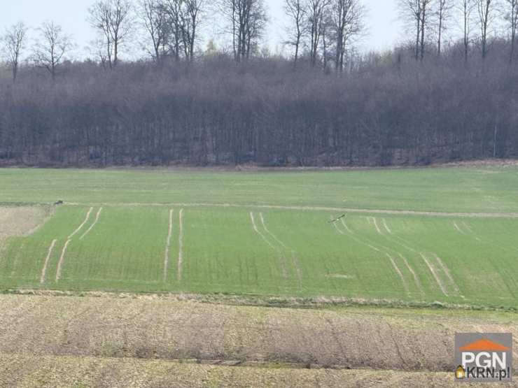Pomorska Giełda Nieruchomości, Działki  na sprzedaż, Gryfice, ul. 