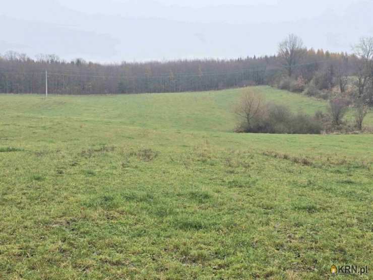 Wilnowo, ul. , , Działki  na sprzedaż