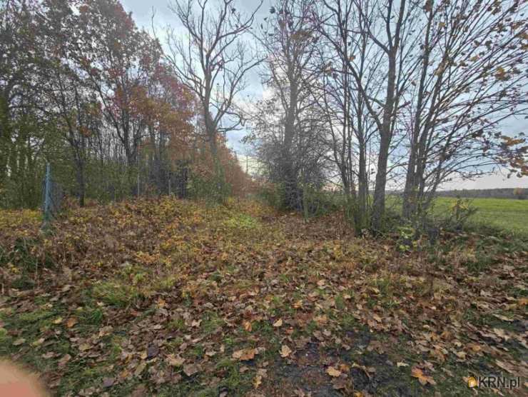 , Wilnowo, ul. , Działki  na sprzedaż