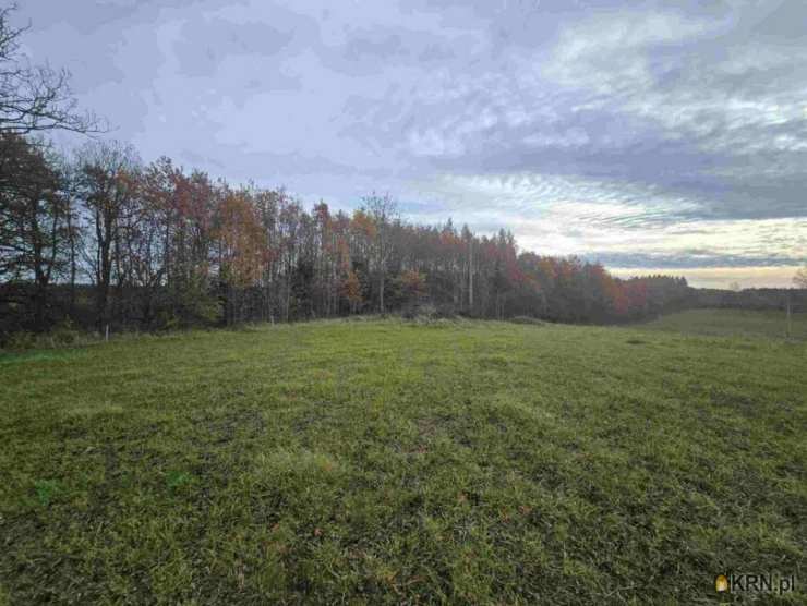 , Działki  na sprzedaż, Wilnowo, ul. 