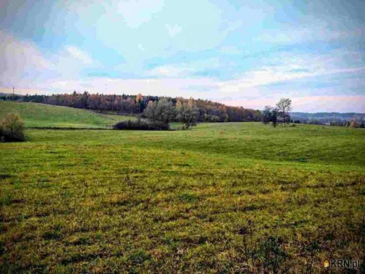 Działki  na sprzedaż, Wilnowo, ul. , 