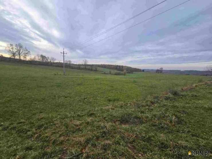 Działki  na sprzedaż, , Wilnowo, ul. 