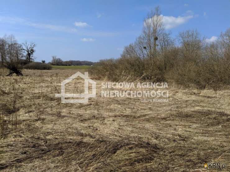 Rekcin, ul. , Działki  na sprzedaż, 