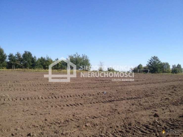 Rekcin, ul. , , Działki  na sprzedaż