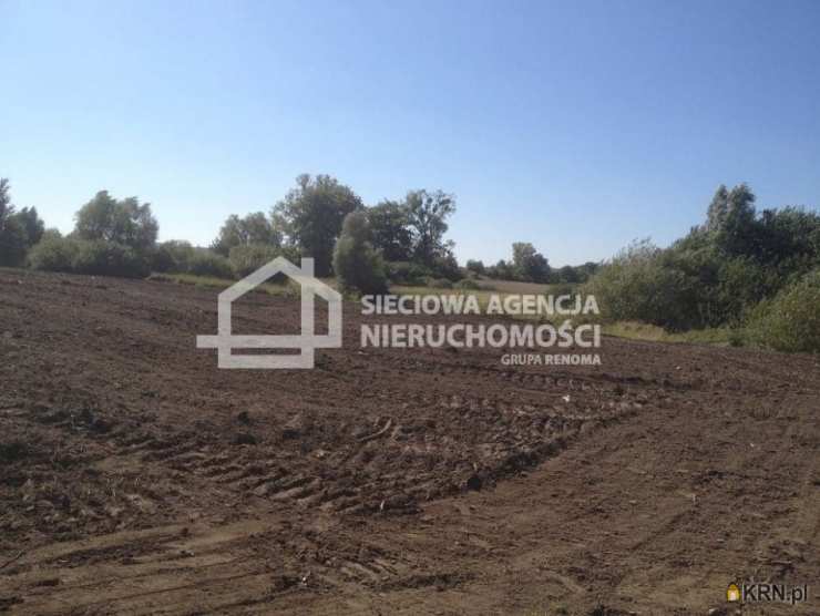 , Rekcin, ul. , Działki  na sprzedaż