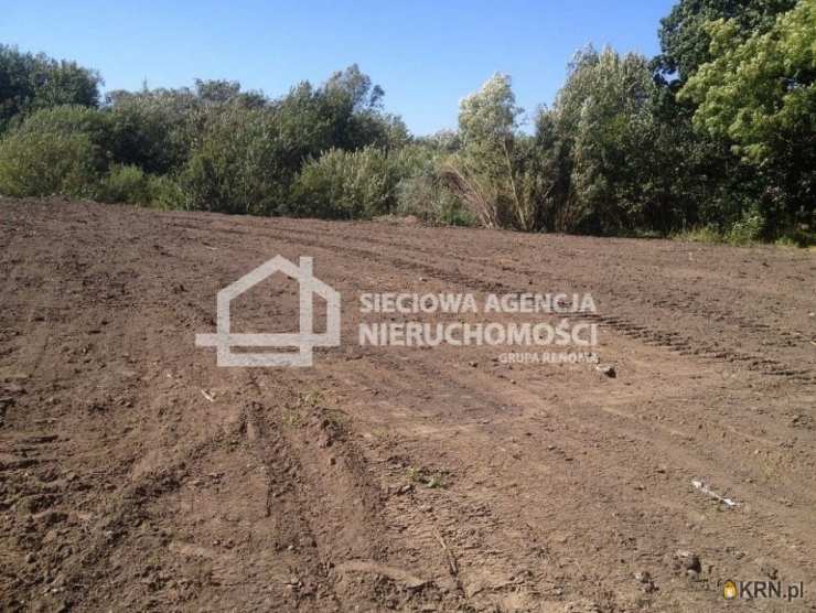 Sieciowa Agencja Nieruchomości Grupa Renoma, Działki  na sprzedaż, Rekcin, ul. 