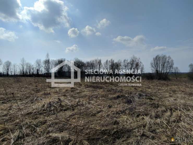 Działki  na sprzedaż, Rekcin, ul. , 