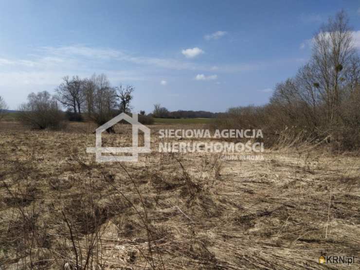 Rekcin, ul. , Działki  na sprzedaż, 