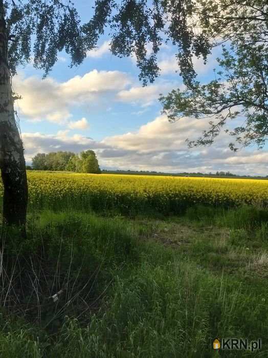 Działki  na sprzedaż, , Cedry Małe, ul. 