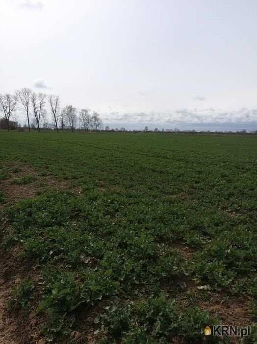 Cedry Małe, ul. , , Działki  na sprzedaż