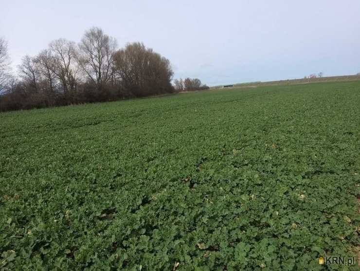 , Cedry Małe, ul. , Działki  na sprzedaż