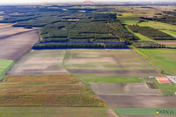 , Zduny, ul. , Działki  na sprzedaż