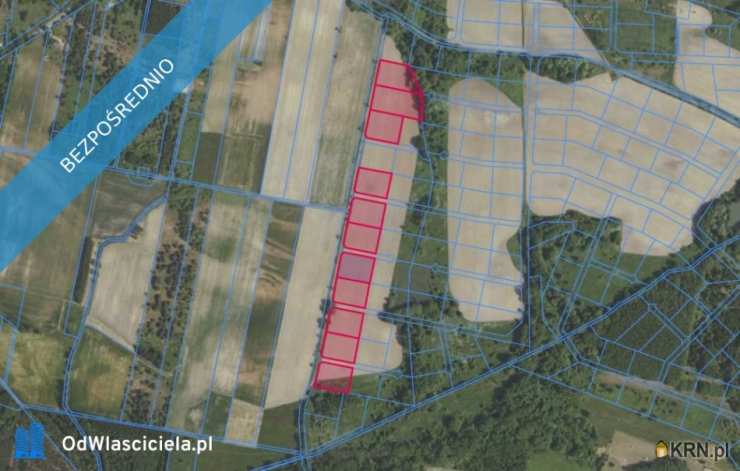 Działki  na sprzedaż, Grabowno Wielkie, ul. , 