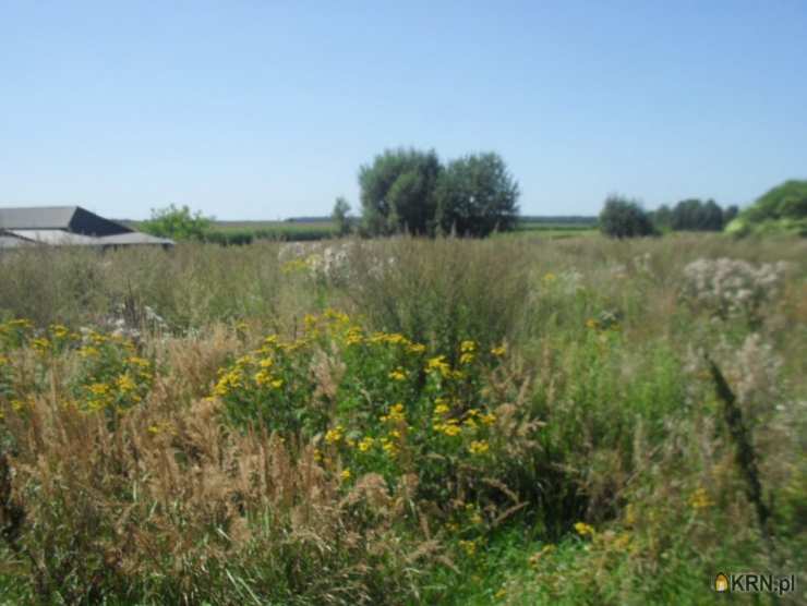 Działki  na sprzedaż, Biszcza, ul. , 