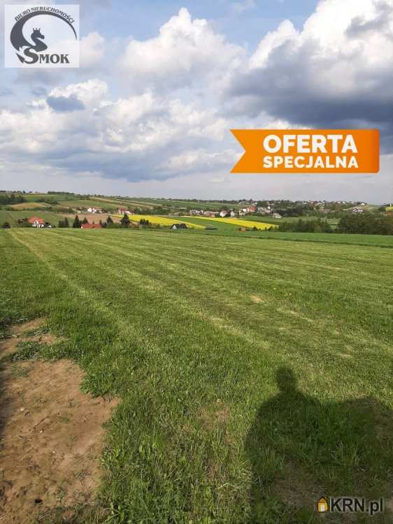 Działki  na sprzedaż, Cianowice Duże, ul. , 