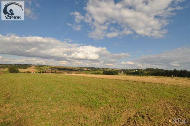 Działki  na sprzedaż, , Cianowice Duże, ul. 