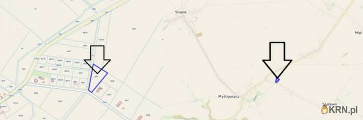 Działki  na sprzedaż, Międzybórz, ul. , 