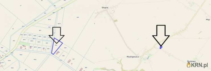 Działki  na sprzedaż, Myśligoszcz, ul. , 