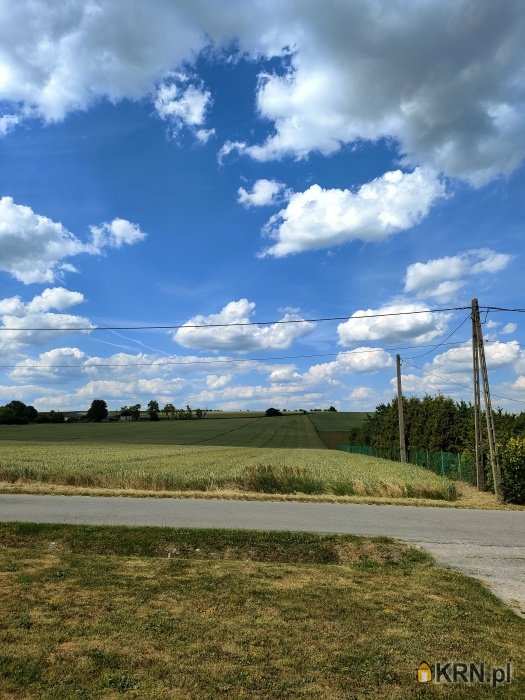 Działki  na sprzedaż, Obrażejowice, ul. , 